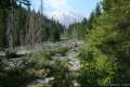 June Lake Trail