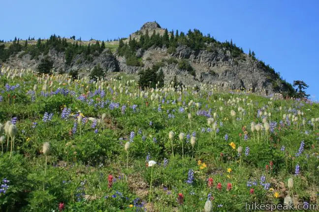 Naches Peak Loop Trail