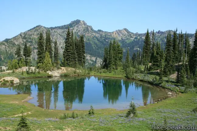 This 3.75-mile loop crosses fields of summer wildflowers, passes subalpine lakes, and offers great views of Mount Rainier.