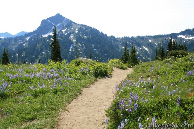 Naches Peak Loop Trail Mount Rainier Hikespeak