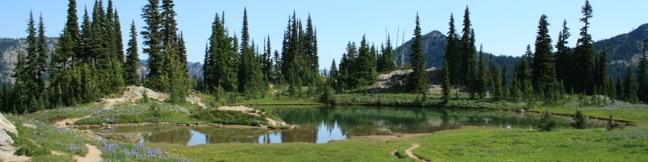 Naches Peak Loop Trail Mount Rainier National Park hiking Washington wildflower hike Naches Peak Loop Hike