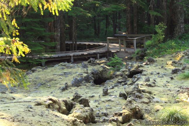 Trail of Two Forests in Mount Saint Helens National Volcanic Monument Washington