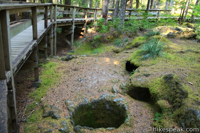 Trail of Two Forests in Mount Saint Helens National Volcanic Monument Washington