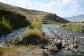 Boiling River Trail Yellowstone