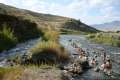 Boiling River Trail Yellowstone