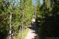 North Rim Trail Yellowstone