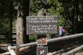 North Rim Trail Yellowstone