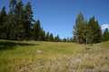 North Rim Trail Yellowstone