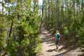 Point Sublime Trail Yellowstone