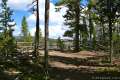 Point Sublime Trail Yellowstone