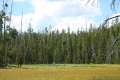 Point Sublime Trail Yellowstone