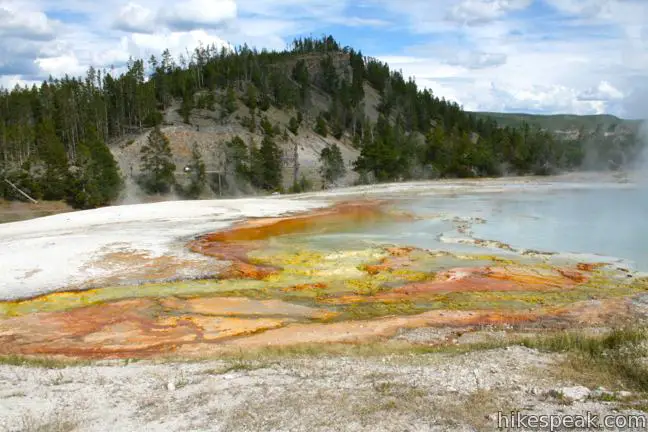 Excelsior Geyser Yellowstone