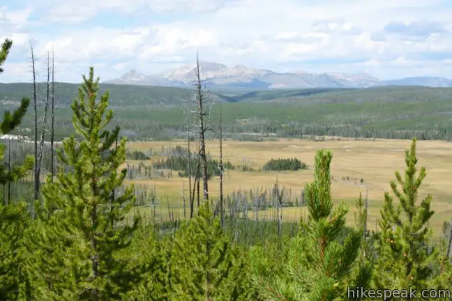 Monument Geyser Basin Trail Yellowstone