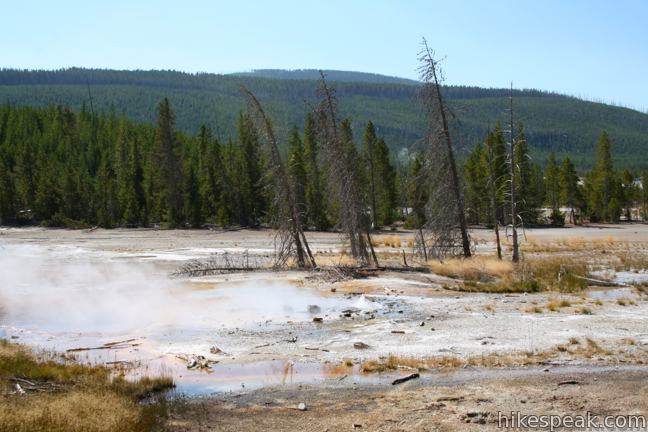 Minute Geyser Norris Geyser Basin Yellowstone