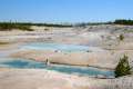 Porcelain Basin Norris Geyser Basin Yellowstone