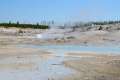 Porcelain Basin Norris Geyser Basin Yellowstone