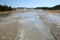 Porcelain Basin Norris Geyser Basin Yellowstone