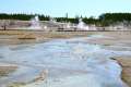 Porcelain Basin Norris Geyser Basin Yellowstone