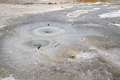 Porcelain Basin Norris Geyser Basin Yellowstone