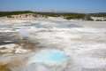 Porcelain Basin Norris Geyser Basin Yellowstone