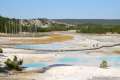 Porcelain Basin Norris Geyser Basin Yellowstone