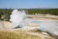 Porcelain Basin Norris Geyser Basin Yellowstone