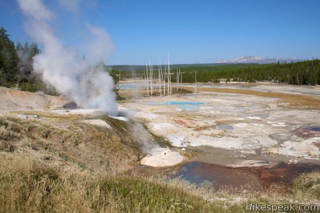 This pair of short loops explores a stark basin with an impressive collection of hot springs and geysers like Ledge Geyser (shown).