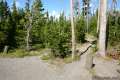 Riddle Lake Trail Yellowstone