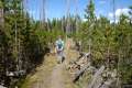 Riddle Lake Trail Yellowstone