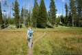 Riddle Lake Trail Yellowstone