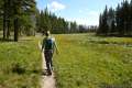 Riddle Lake Trail Yellowstone