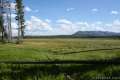 Riddle Lake Trail Yellowstone