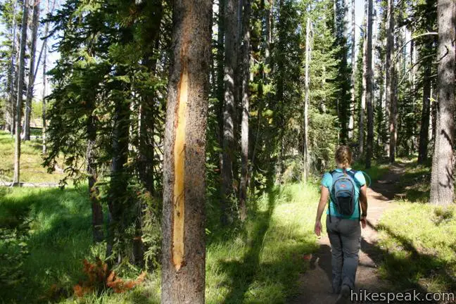 Riddle Lake Trail Yellowstone