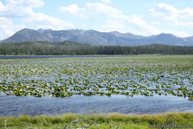 Riddle Lake Trail