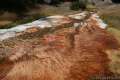 Mammoth Hot Springs Yellowstone