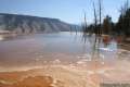 Mammoth Hot Springs Yellowstone