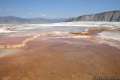 Mammoth Hot Springs Yellowstone