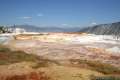 Mammoth Hot Springs Yellowstone