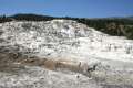 Mammoth Hot Springs Yellowstone