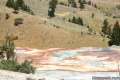 Mammoth Hot Springs Yellowstone