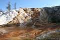 Palette Spring Mammoth Hot Springs Yellowstone