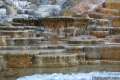 Palette Spring Mammoth Hot Springs Yellowstone