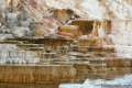 Palette Spring Mammoth Hot Springs Yellowstone