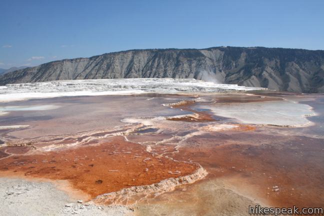 Mammoth Hot Spring Yellowstone