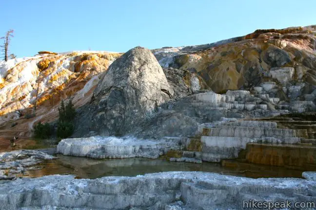 Palette Spring Mammoth Hot Springs Yellowstone