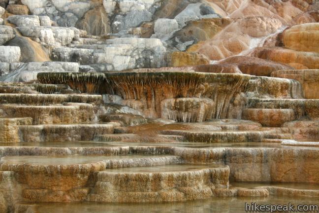 Palette Spring Mammoth Hot Springs Yellowstone