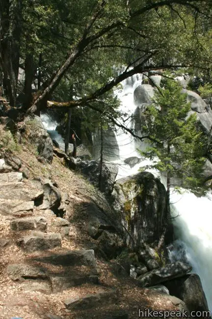 Chilnualna Creek Cascade