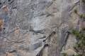 Rock Climbers Yosemite Valley