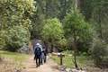 Valley Loop Trail Yosemite