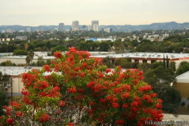 Baldwin Hills Scenic Overlook